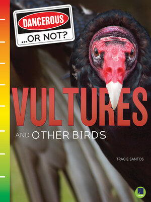 cover image of Vultures and Other Birds